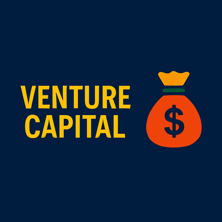 Professional thumbnail on venture capital with bold yellow text and a red-orange money bag icon on a deep blue background